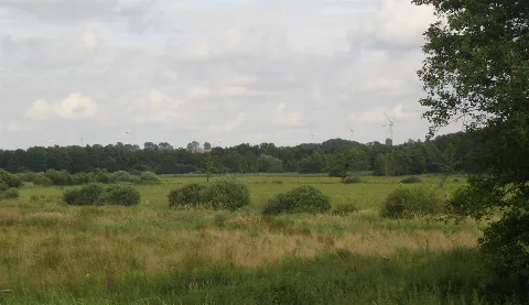 Blick Vom Bhf Poelschow