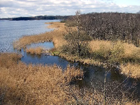 Blick Vom Löns Turm Hemmelsdorfersee Ausfluss Aalbek
