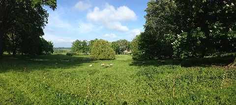 Blick Vom Schloßgarten In Göhren Lebbin