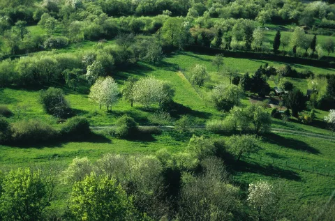 Blick Von Der Burg Gleiberg1