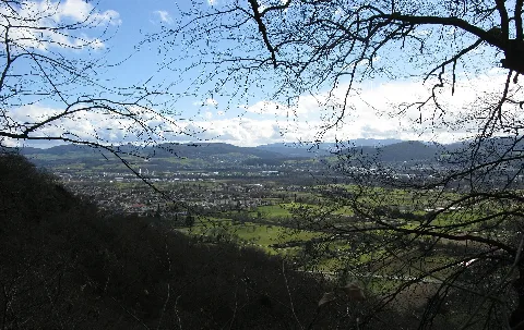 Blick Von Der Forsthütte Richtung Wyhlen 2