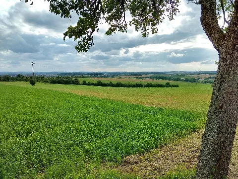 Blick Von Gerlfangen