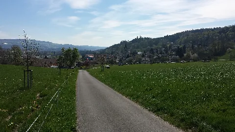 Blick Von Nordwesten Auf Wohlenschwil