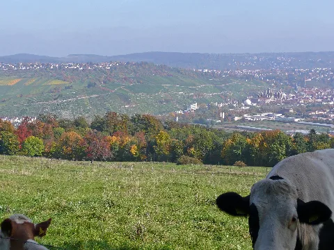 Blick Von Ostfildern Nach Esslingen Panoramio