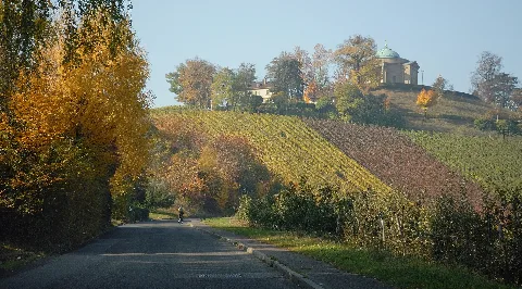 Blick Von Uhlbach Auf Württemberg (2009)