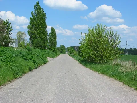 Blick Zu Den Basdorfer Teichen Panoramio