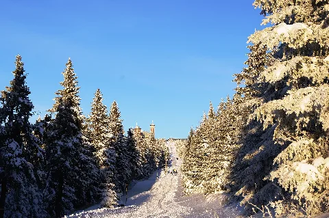 Blick Zum Fichtelberg