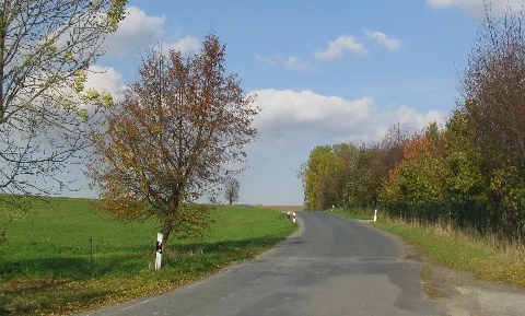 Blick Zum Pfarrberg Mit Pfarrlinde