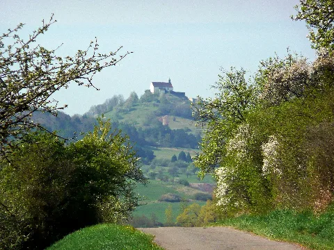 Blick Zur Wurmlinger Kapelle Panoramio