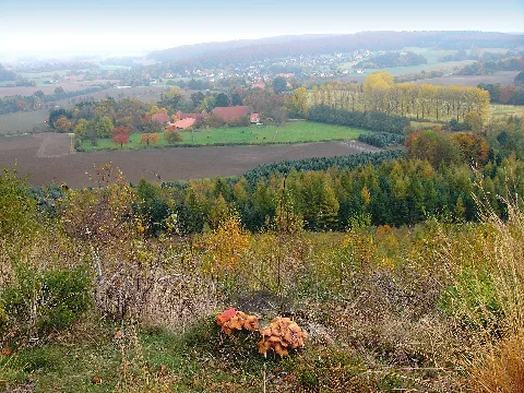 Blickvomtönsberg01