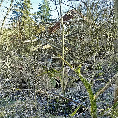 Bliederstedt 06