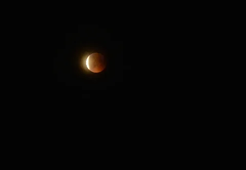 Bludmond Abnemend