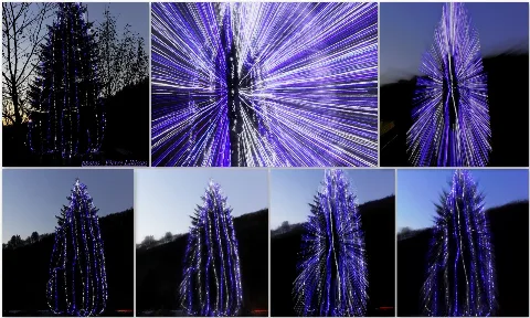 Blue Tanne " Weihnachtsbaum " Maulburg Panoramio