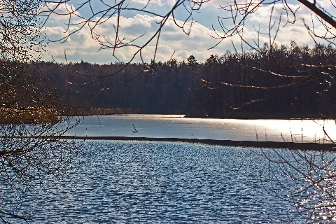Blumbergermühlenteich