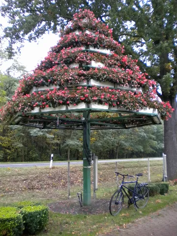 Blumenbaum Panoramio