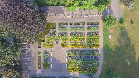 Blumenbeete Im Stadtgarten Kornwestheim 2015 07 24