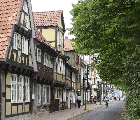 Blumlage Celle (10)