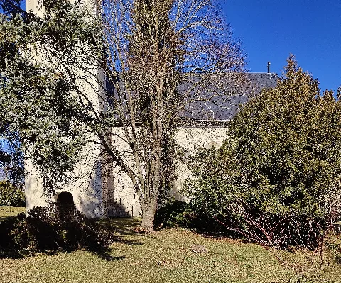 Bobenneukirchen, St. Margareten Kirche (13)