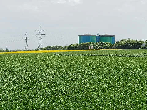 Blick über das Landschaftsschutzgebiet Mittelfeld, Luetge Heide, Gerther Muehlenbach in Bochum-Nord (temporaer) in Bochum-Nord, LSG-4409-052. Im Hintergrund die Wasserhochbehälter der Gelsenwasser