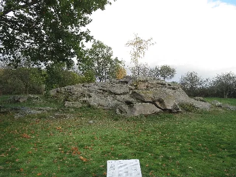 Bockshornklippe Grosssteinum Nd He 00002