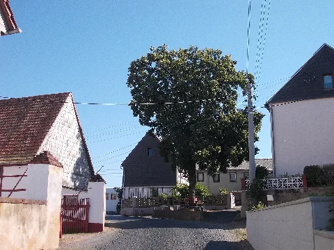 Böhlentw Oberdorf