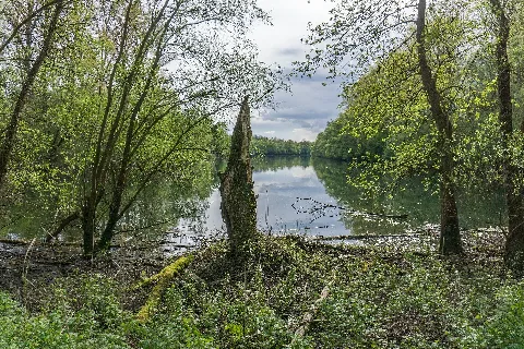 Böllenwörth 10