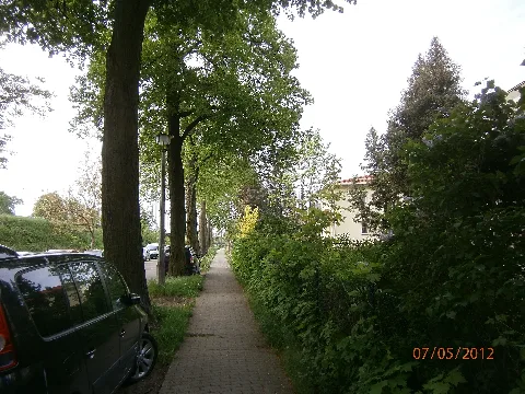 Boenkestrkarow S
