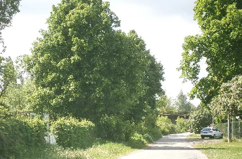 Boenkestrkarow S Die2