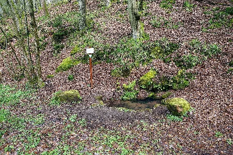 Bösbrunnen Gemeindegebiet Pirmasens