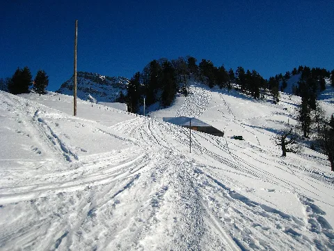 Bogmen Im Winter Panoramio