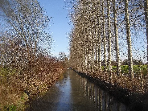 Boker Heide Kanal