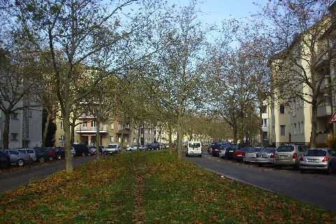 Bolivarallee Berlin