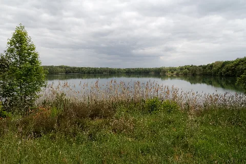 Bongsche Kiesgrube 3