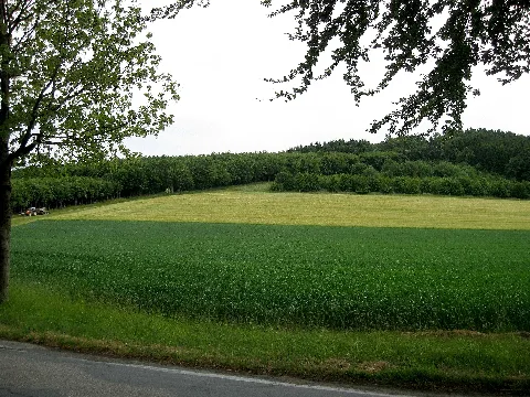 Bonstapel 2009 06 06