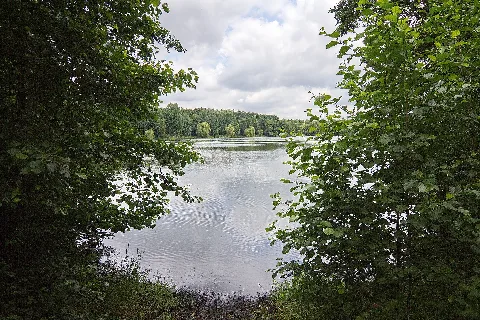 Bordenauer See Im Lsg Mittlere Leine Bei Bordenau (Neustadt Am Rübenberge) Img 7879