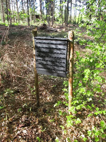 Borkenkäferfalle Am Blomericher Weg