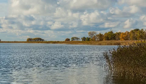 Born A Darss Bodstedter Bodden 03