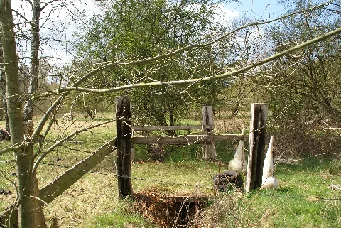 Bornbeek Des Westerrodegrabens