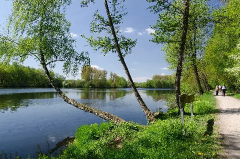 Borner See 2013 01