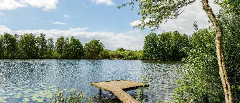 Borner See Im Naturschutzgebiet Tantelbruch 0584 85