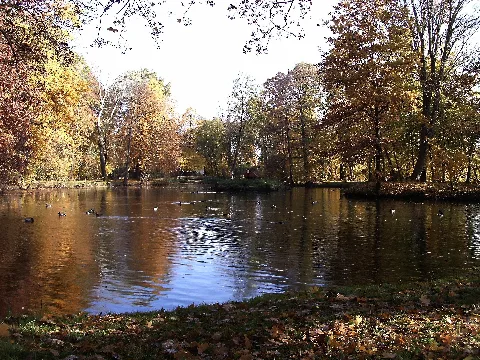 Borsdorfparkteicho