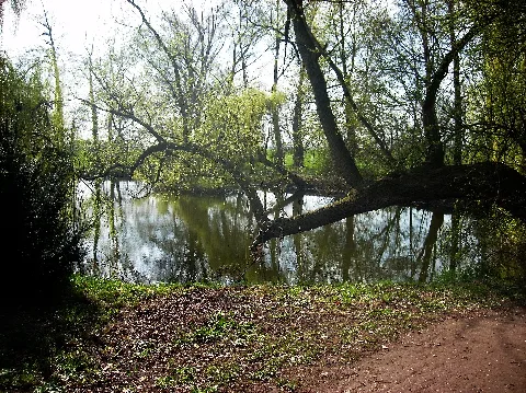 Borsdorfparkw
