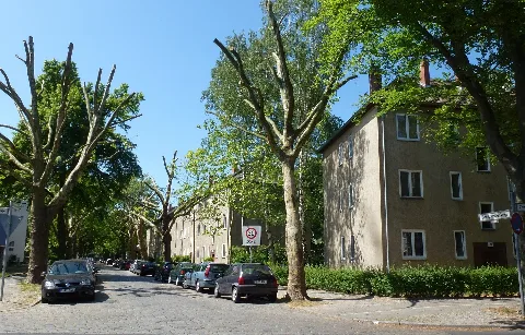 Borsigwalde Borsigwalder Weg 002