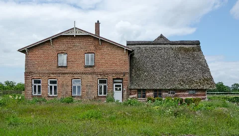 Borstel Hohenraden Roffloh 68
