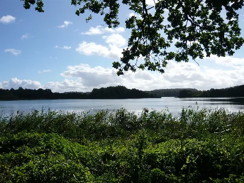 Bossee2010