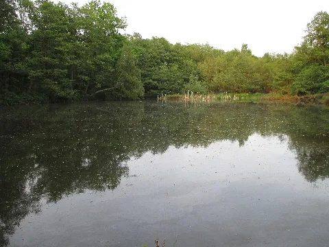 Bot Grafenmühle Quellsee Rotbach