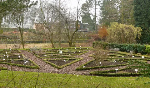 Botan Schulgarten Hann