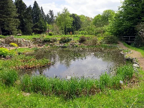 Botanical Garden (1)