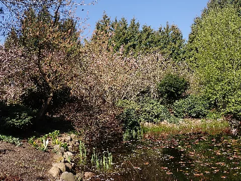 Botanischer Garten Christiansberg 2022 04 23 7116