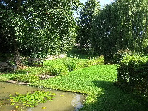 Botanischer Garten Der Universität Würzburg Img 6840